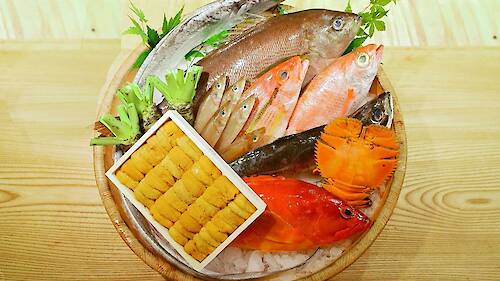 Cagen Sushi NYC