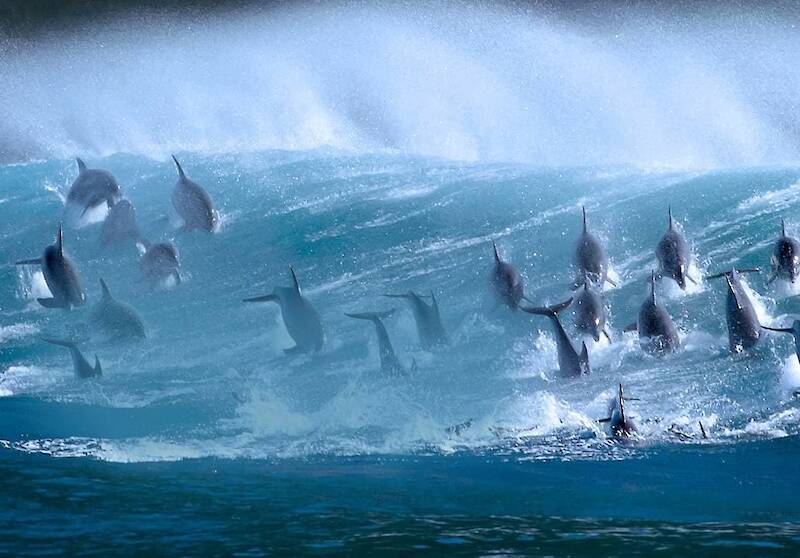 Blue Planet II