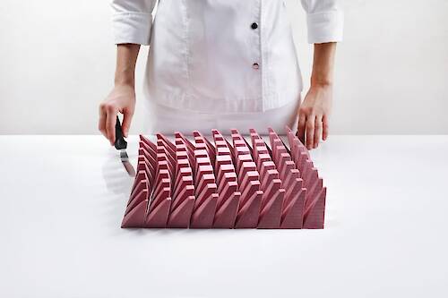 Dinara Kasko, Algorithmic Modeling Cake