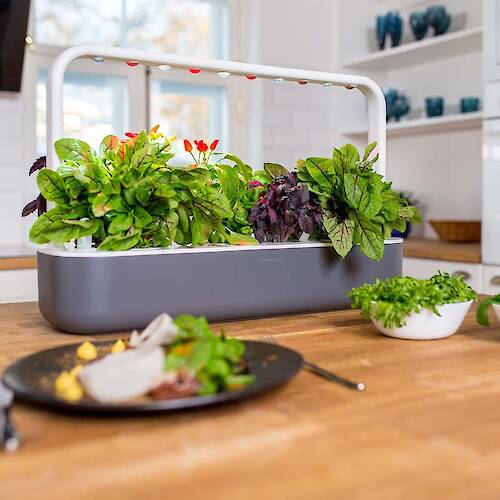 Click & Grow, The Smart Garden
