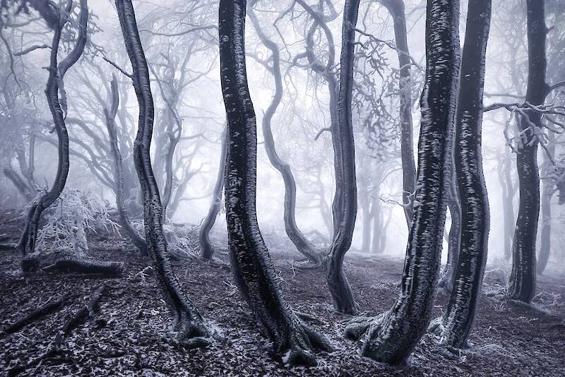 Kilian Schönberger, Winter’s Tale