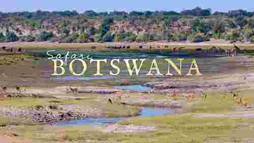 Safari Botswana Timelapse Flow