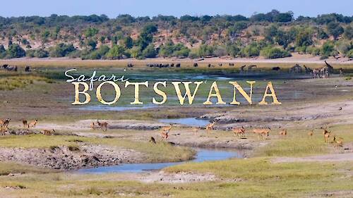 Safari Botswana Timelapse Flow