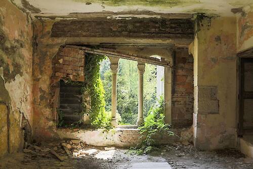 Naturalia: Anatomy of Contemporary Ruins