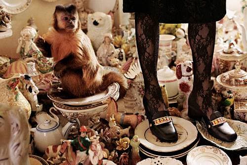 “Gucci Collectors” FW 2018