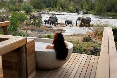 Londolozi Game Reserve, South Africa