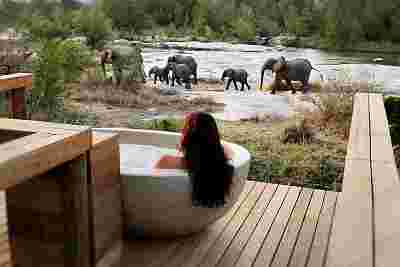 Londolozi Game Reserve, South Africa