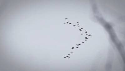 Vladimir Tomin, Sketches