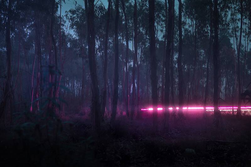 Henri Prestes, Perfect Darkness