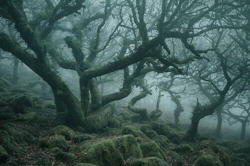 Neil Burnell "Unknown"