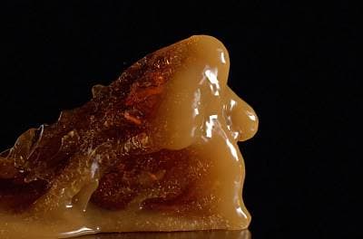 Transfiguration (2020)