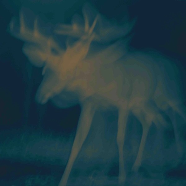 THE SPIRIT OF THINGS (2024)