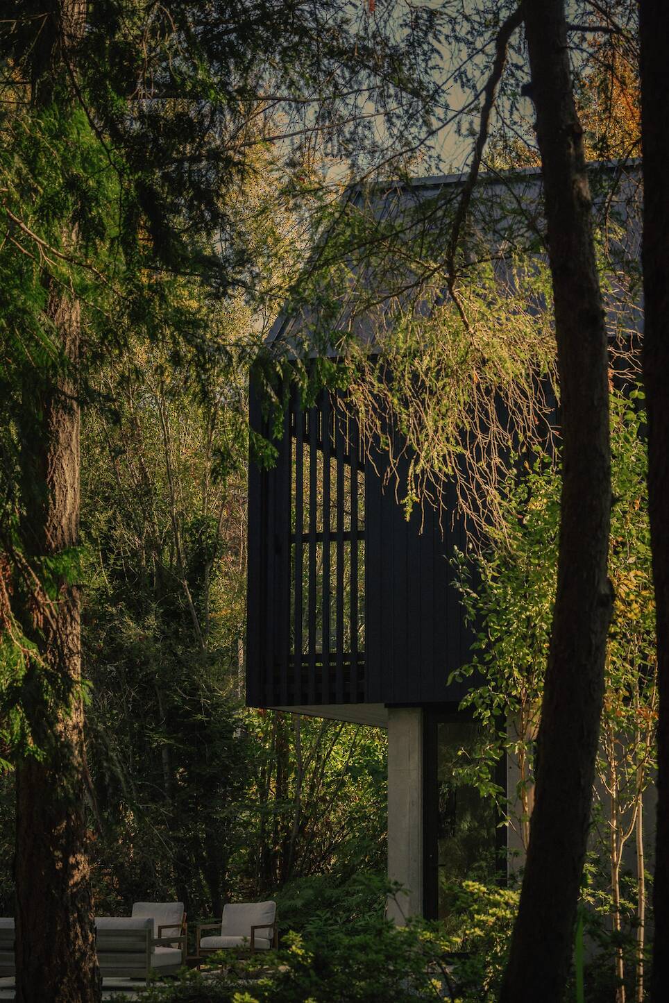 Little Giant draws on "spirit of a treehouse" for Forest Studio on Vancouver Island