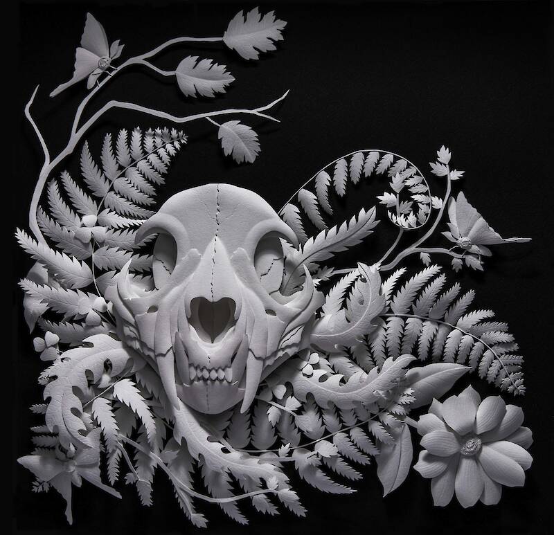 Meticulously Detailed Natural Specimens by Marisa Aragón Ware Emerge from Paper