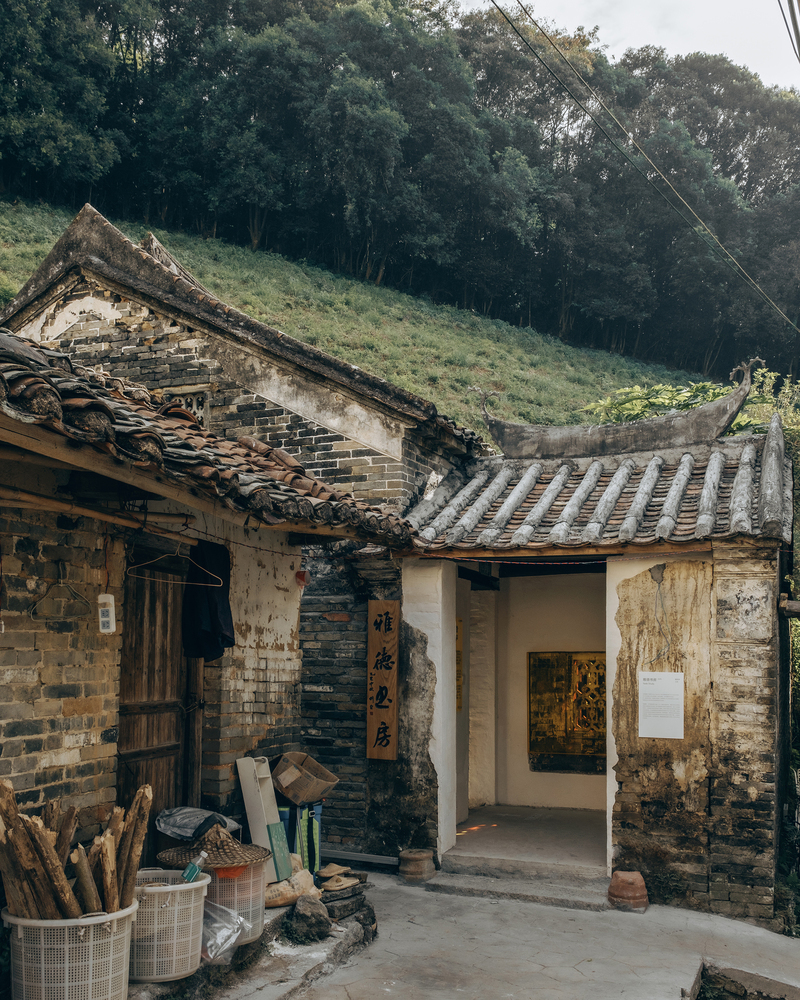 The Architecture of Mold: What Buildings Cannot Control