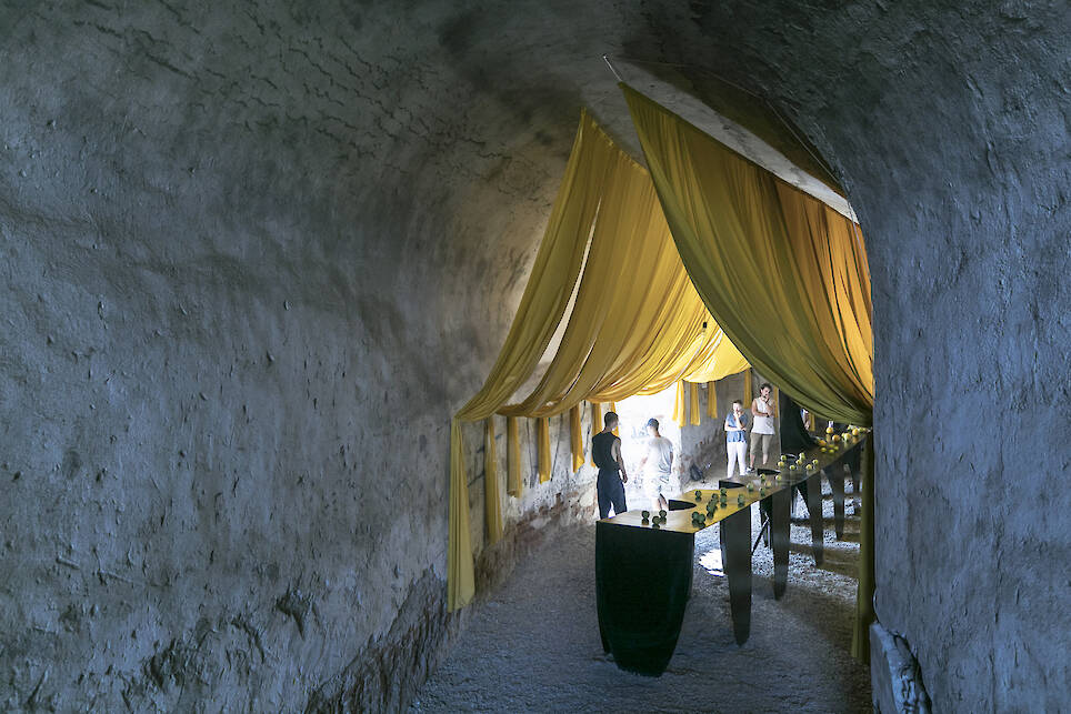 The Architecture of Mold: What Buildings Cannot Control
