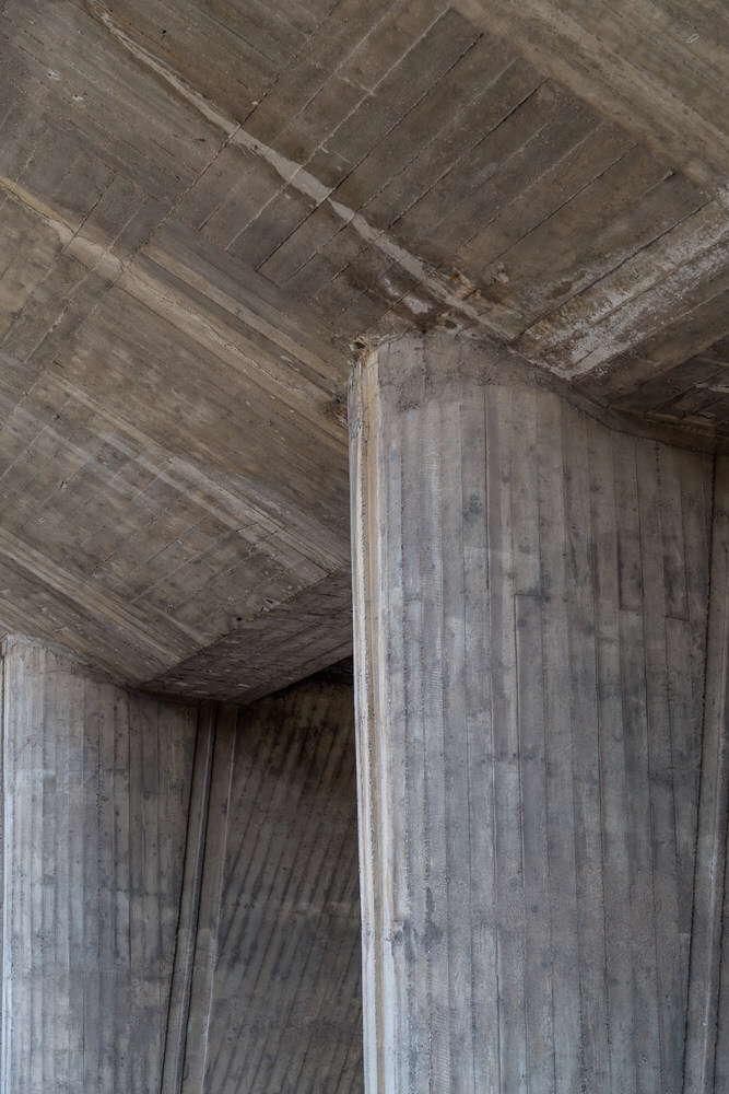 The Architecture of Mold: What Buildings Cannot Control
