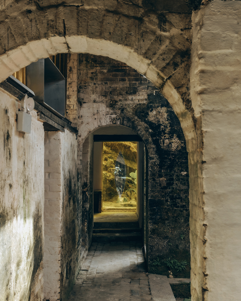 The Architecture of Mold: What Buildings Cannot Control