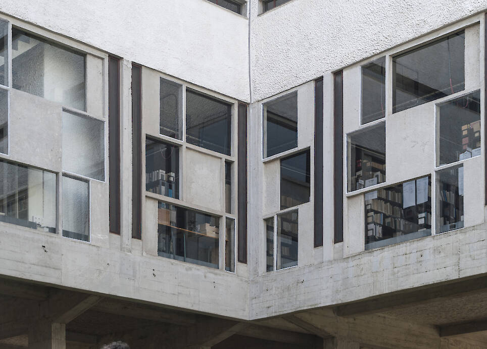 The Architecture of Mold: What Buildings Cannot Control