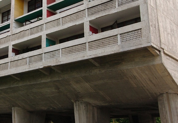The Architecture of Mold: What Buildings Cannot Control