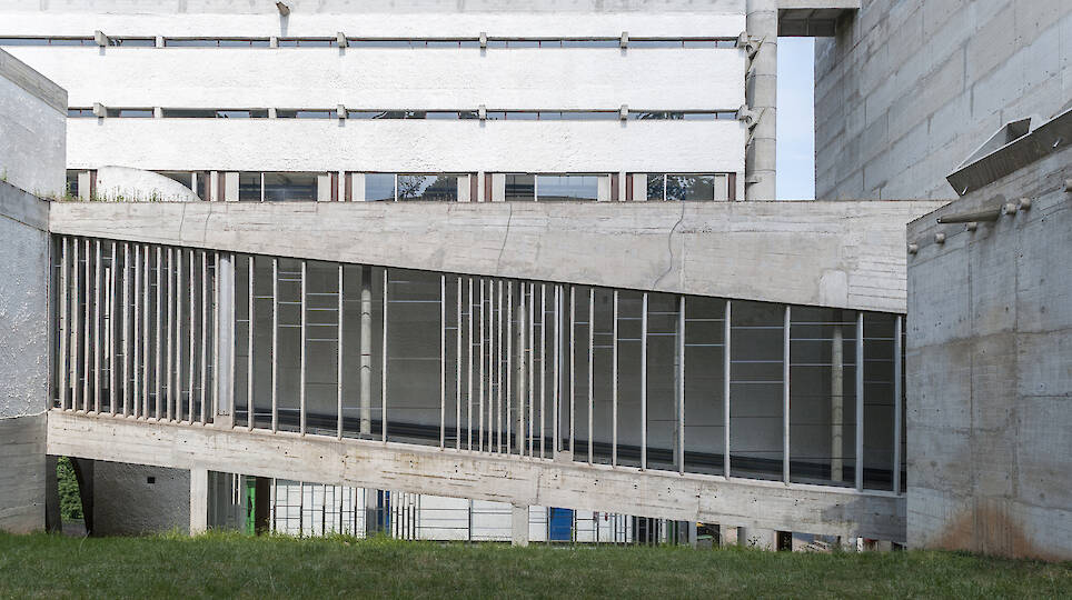 The Architecture of Mold: What Buildings Cannot Control