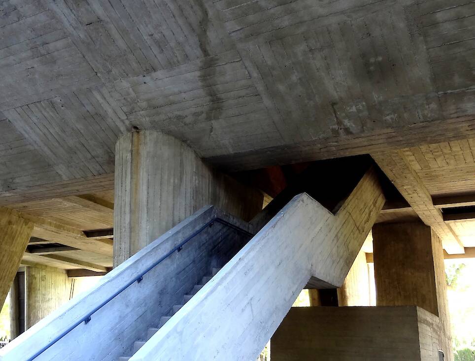 The Architecture of Mold: What Buildings Cannot Control