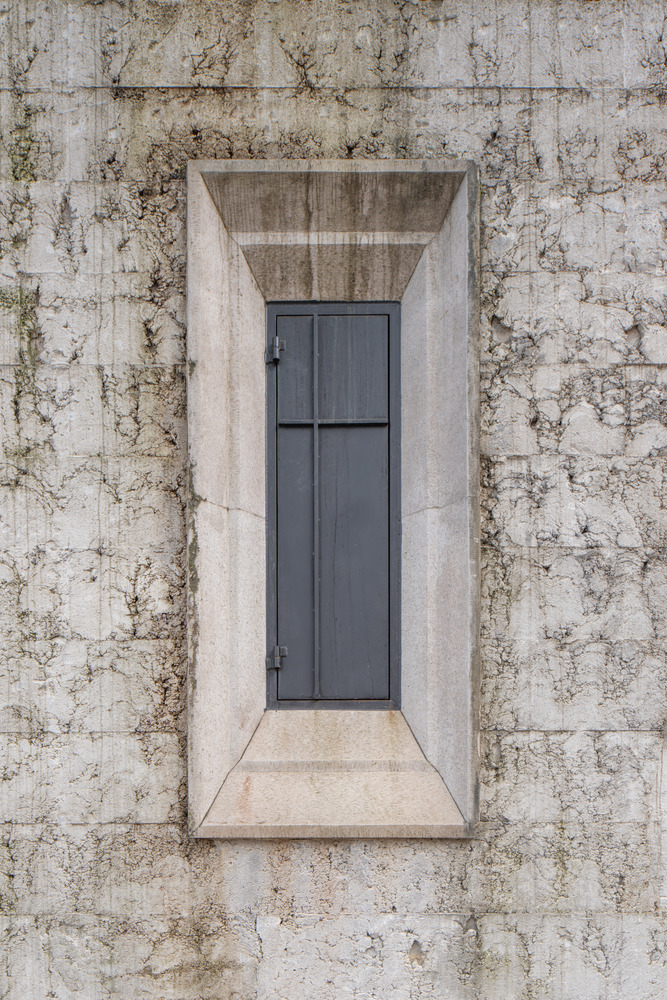 The Architecture of Mold: What Buildings Cannot Control