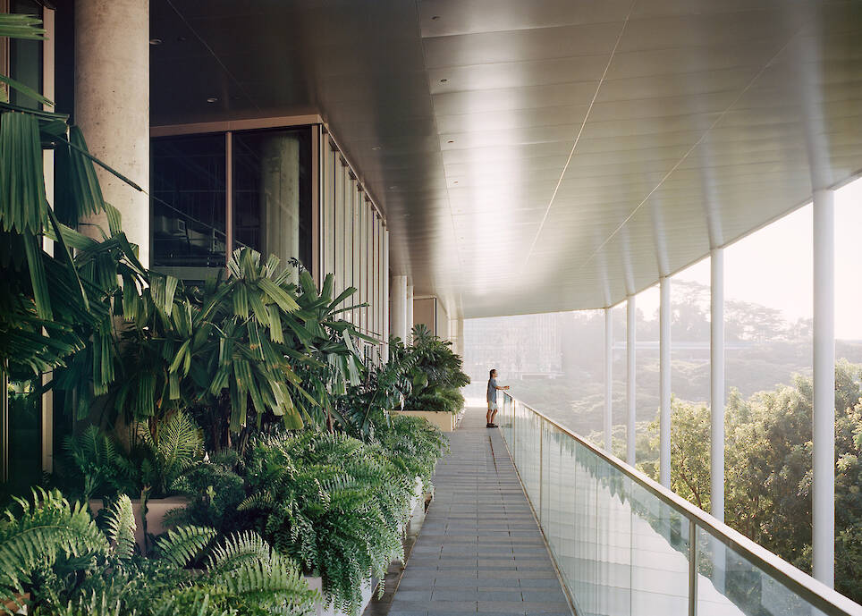 Pedagogy in Space: Architecture Schools' Hidden Curriculum