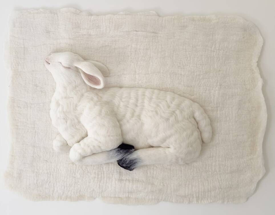 Animals and Ornament Emerge from Felted Wool in Holly Guertin’s Textiles