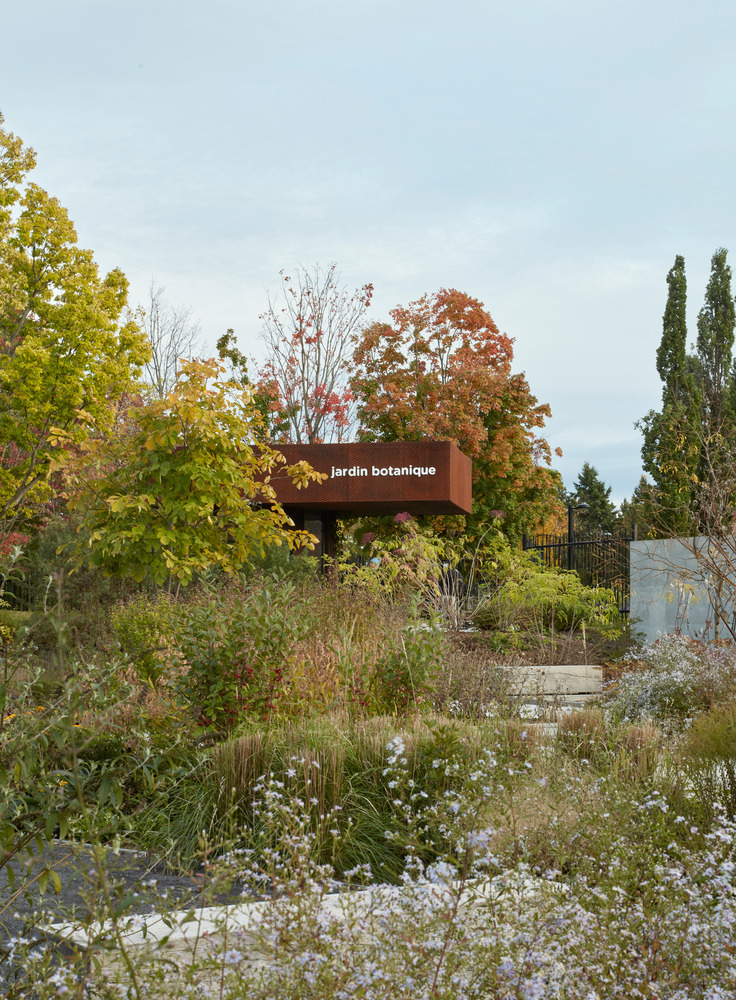 What Can Architectural Practice Learn From Botany?
