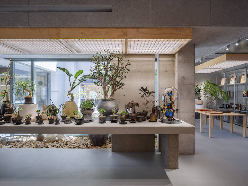 What Can Architectural Practice Learn From Botany?