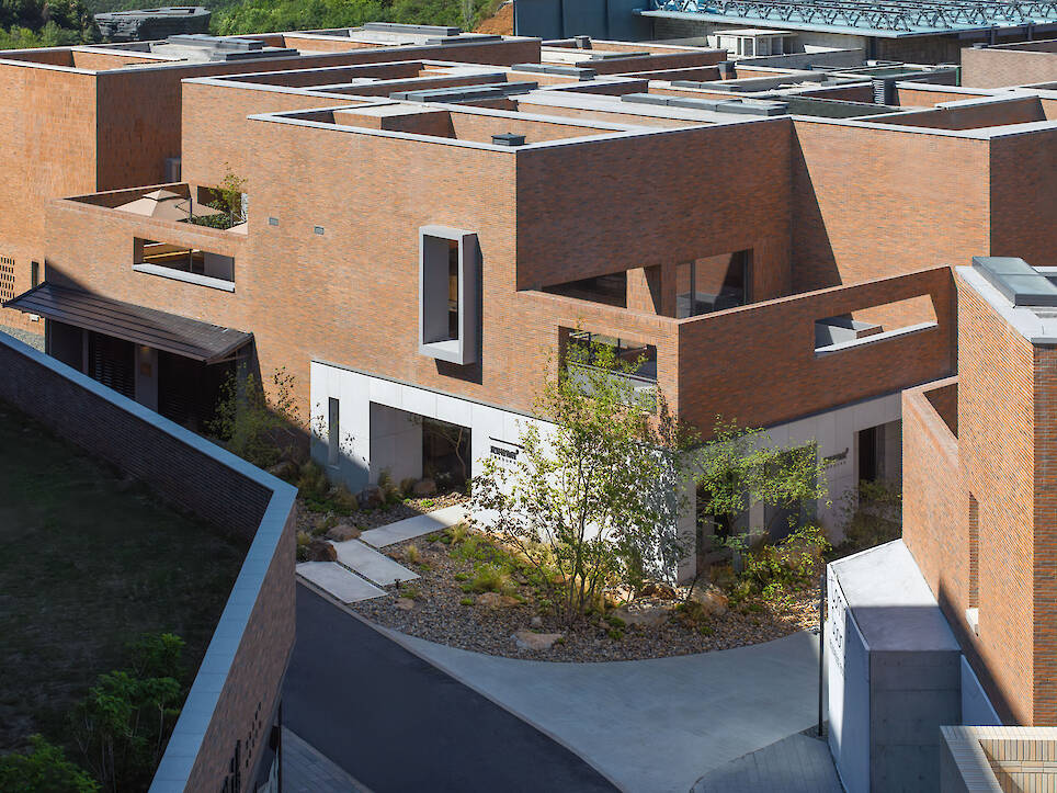 What Can Architectural Practice Learn From Botany?