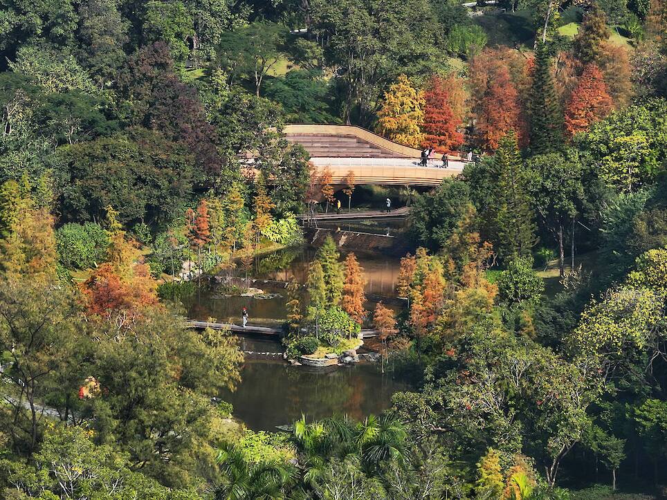 What Can Architectural Practice Learn From Botany?