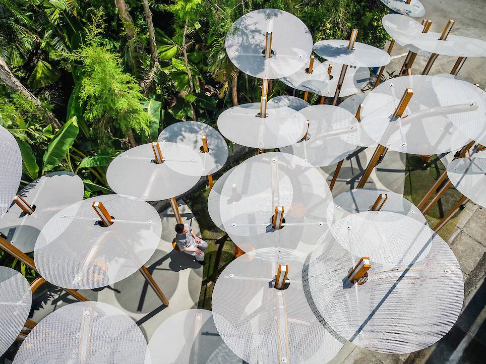 What Can Architectural Practice Learn From Botany?