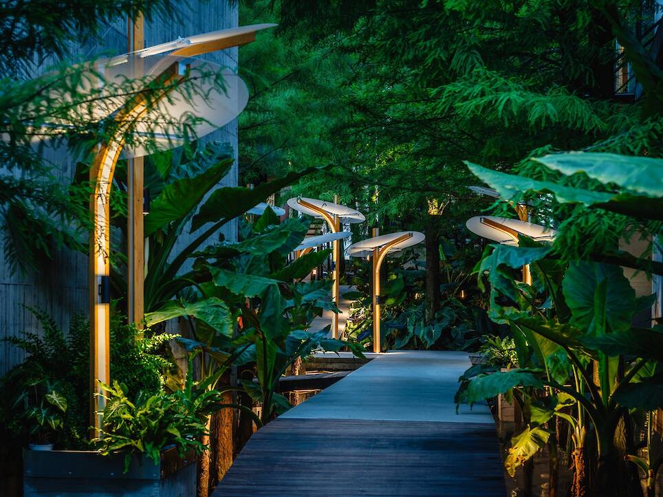 What Can Architectural Practice Learn From Botany?