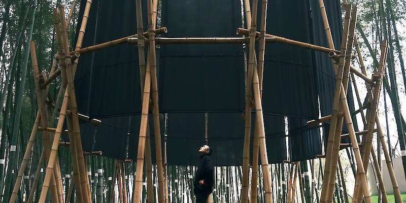 A black fabric veil hovers within a raw bamboo matrix in hubei’s dense grove