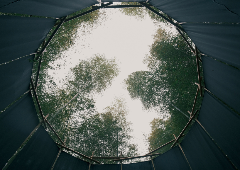 A black fabric veil hovers within a raw bamboo matrix in hubei’s dense grove