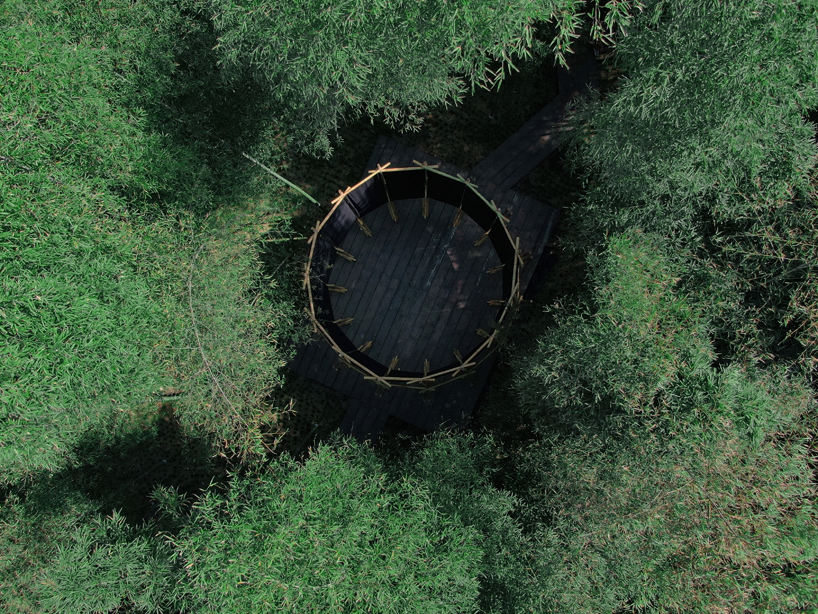 A black fabric veil hovers within a raw bamboo matrix in hubei’s dense grove