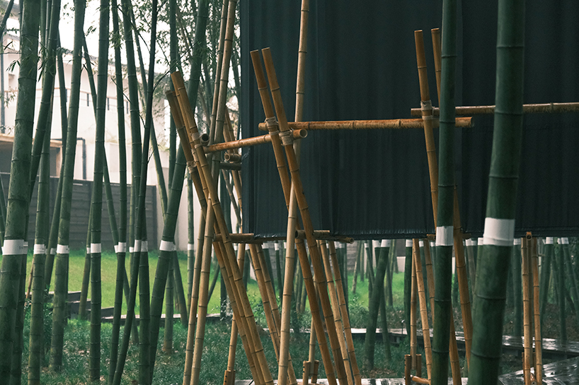 A black fabric veil hovers within a raw bamboo matrix in hubei’s dense grove