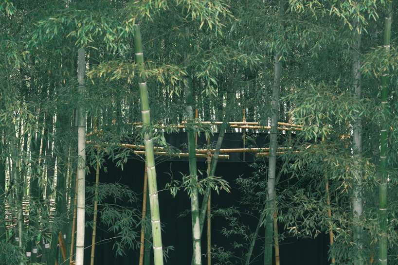A black fabric veil hovers within a raw bamboo matrix in hubei’s dense grove