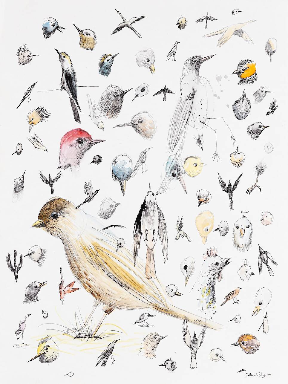 Collin van der Sluijs’ ‘Wanderland’ Imagines a Vast Ecosystem Encompass the Momentous and...