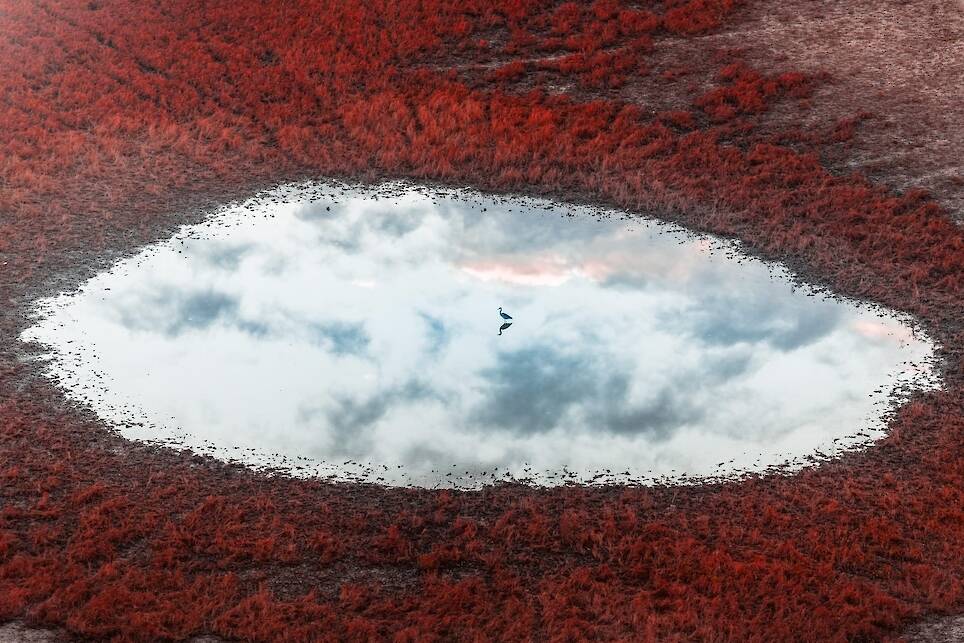 International Aerial Photographer of the Year Contest Highlights the World from Above