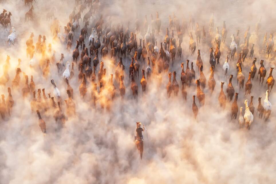 International Aerial Photographer of the Year Contest Highlights the World from Above
