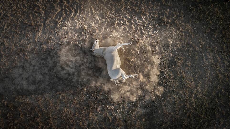 International Aerial Photographer of the Year Contest Highlights the World from Above