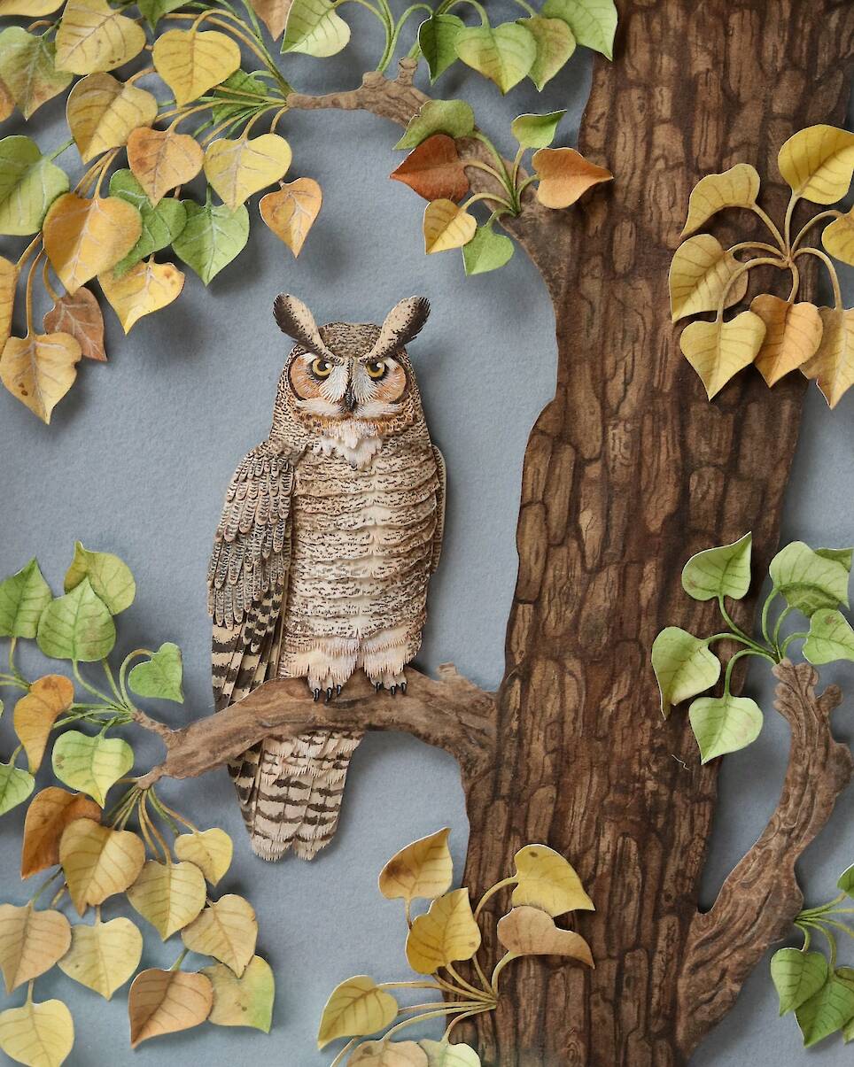 “Great Horned Owl”