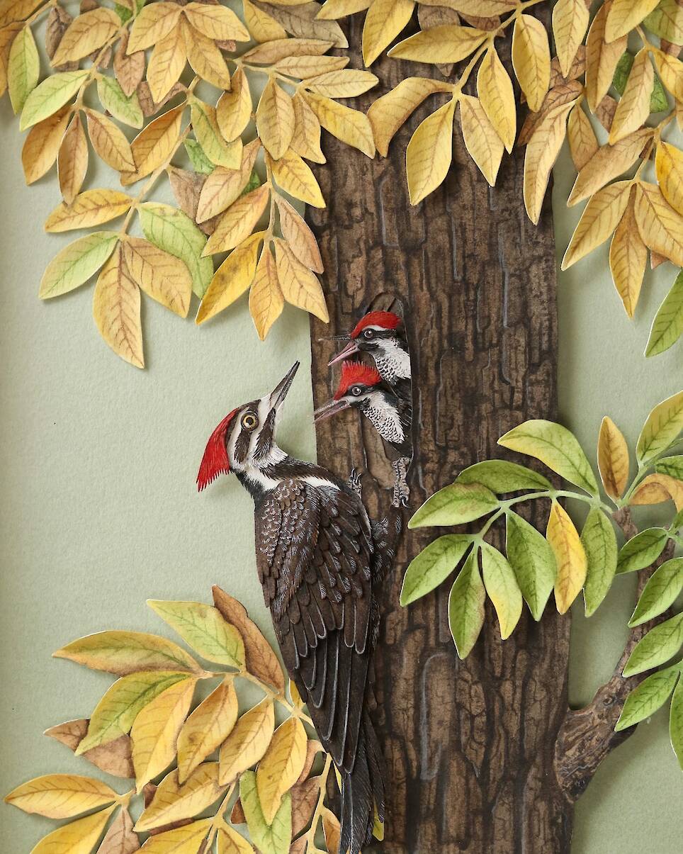 “Pileated Woodpecker 2”