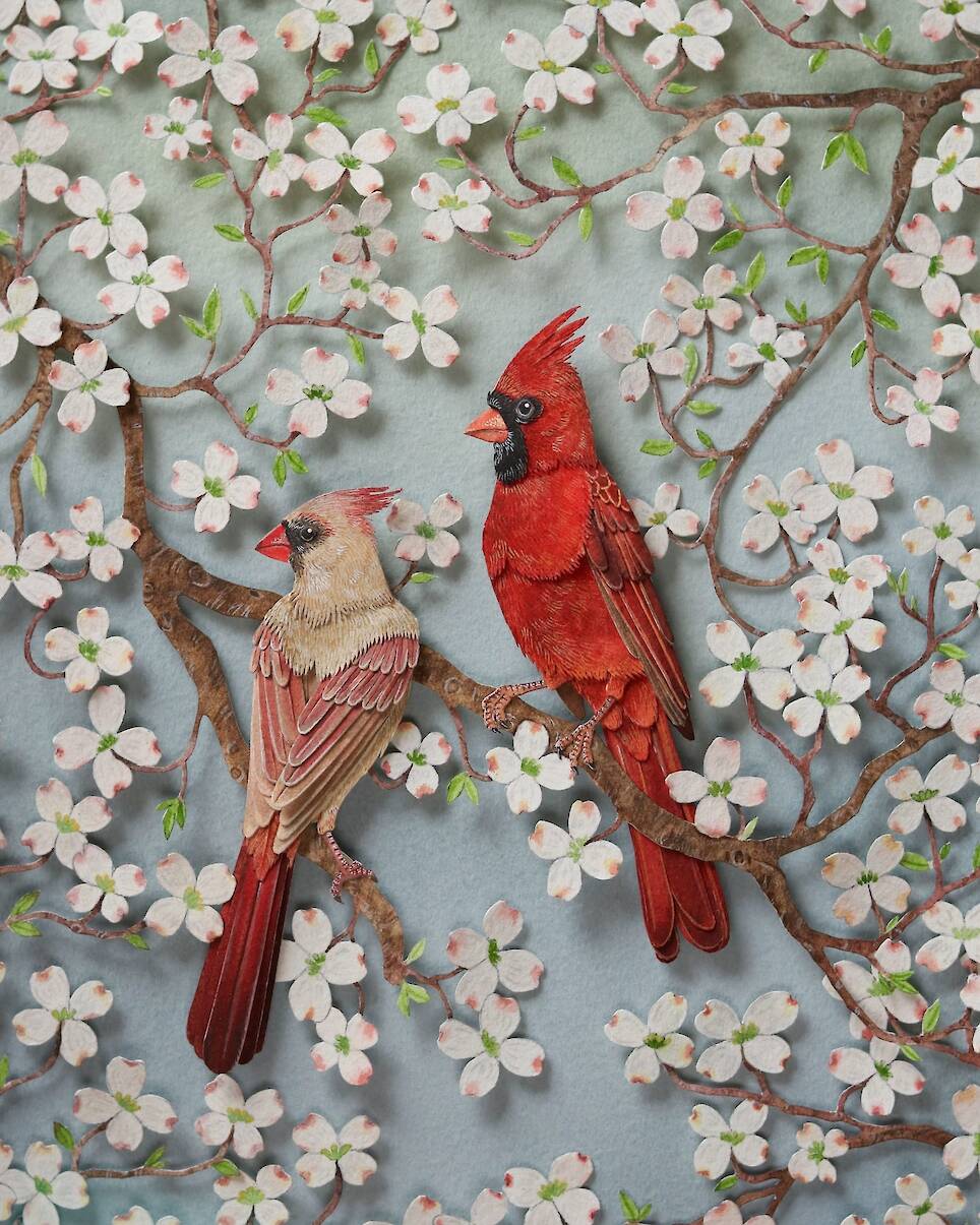 “Red Cardinal”