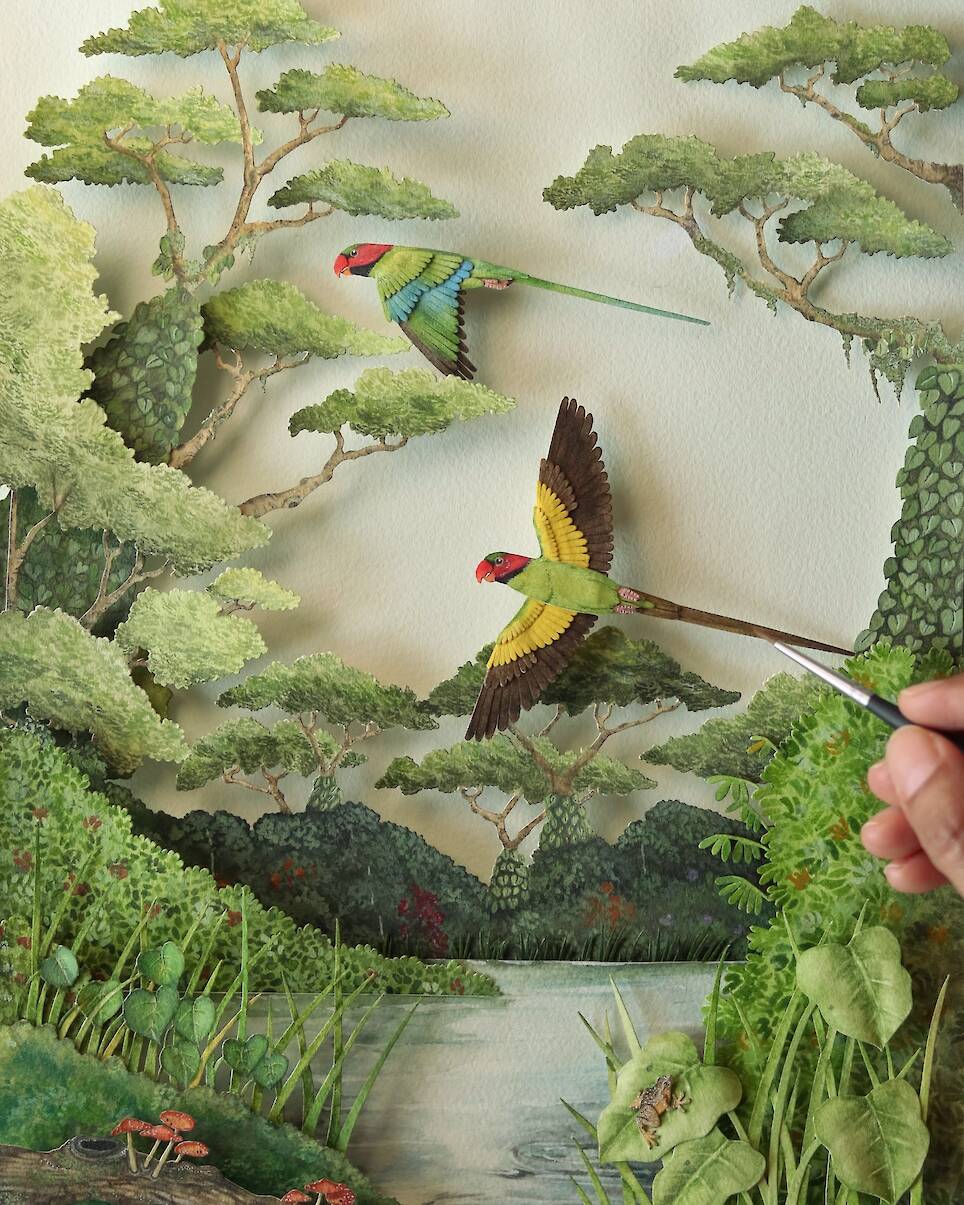 “Long-tailed Parakeet in Clementi Rainforest”