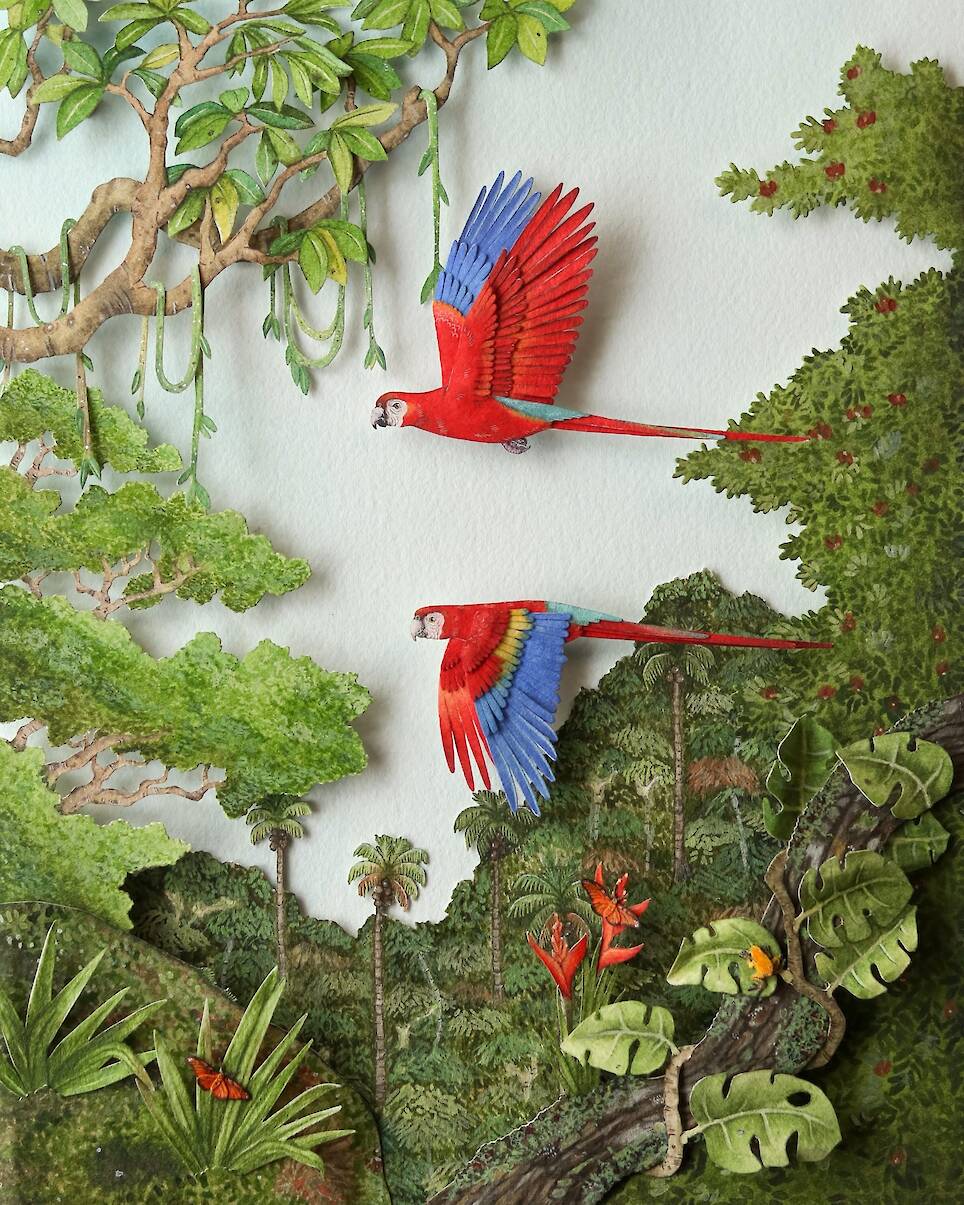“Diurnal Wings of Amazonia”