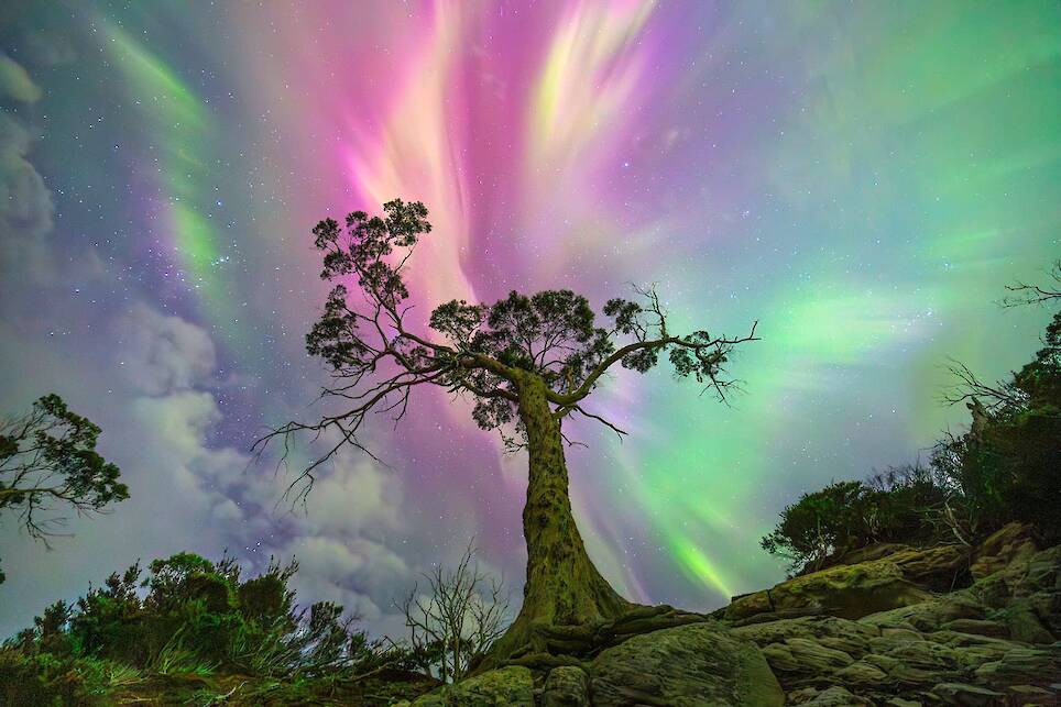 Luke Rasmussen, “The Wishing Tree.” Honorable mention in the Nightscapes (International) category